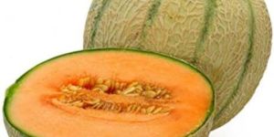 Fresh Muskmelon