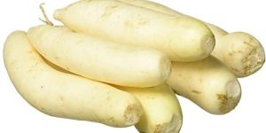 Fresh Radish