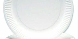 Disposable Thermocol Plate