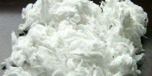 Bleached Cotton