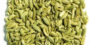 Fennel Seeds