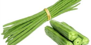Fresh Drumsticks