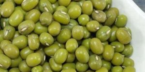 Green Mung Beans