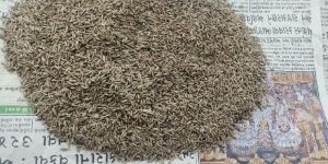 Cumin Seed(Jeera)