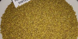 Fenugreek Seed