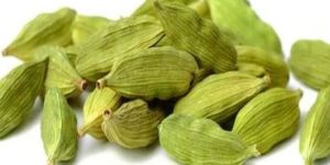 Cardamom