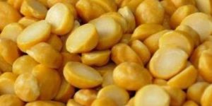 Chana Daal