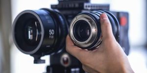 Search Engine Optimization Services