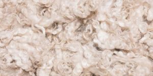 100% Raw Sheep wool