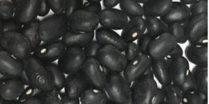 Black Kidney Beans