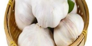 Fresh Garlic
