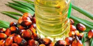 Rbd Palm Oil