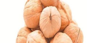 Shelled Walnuts
