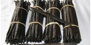 Vanilla Beans