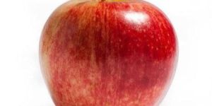 Fresh Apple