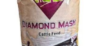 BOPP Printed Laminated Bag