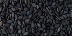 Organic Black Sesame Seeds