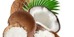 Organic Desiccated Coconut