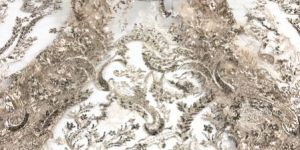 Embroidered Lace Fabric