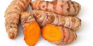 Fresh Yellow Turmeric