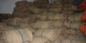 Used Green Line Jute Bag