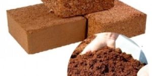 Cocopeat Blocks