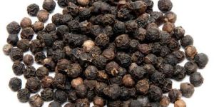 Black Pepper Seeds