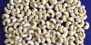 Cashew Nuts