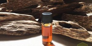 Agarwood Oil