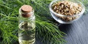 Fennel Oil