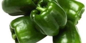 Fresh Green Capsicum