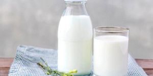 Condensed Milk Flavor