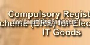 BIS Registration Consultant