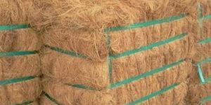 Coir Fibre