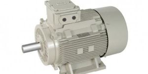 TEFC Induction Motor