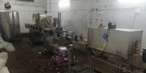 Litchi Juice Packaging Machine