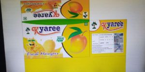 Fresh Mango