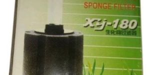 Aquarium Sponge