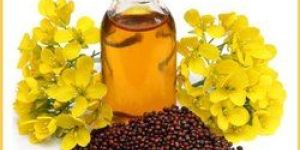 Cold Pressed Virgin Mustard Oil
