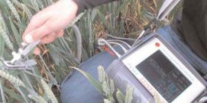 Chlorophyll Fluorometer