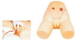 Catheterization Simulator Models