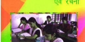 Hindi Grammar Book