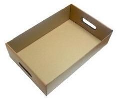 Cardboard Tray
