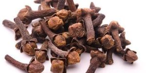 Clove Seeds