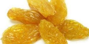 Golden Raisin