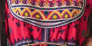 Mesmora Dholida Female Kedia Costume