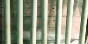 FRP Shaft Insulators