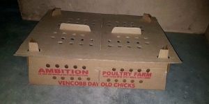 Corrugated Chick Box