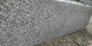 P White Granite Slabs