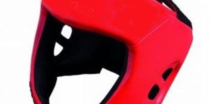 Head Guard